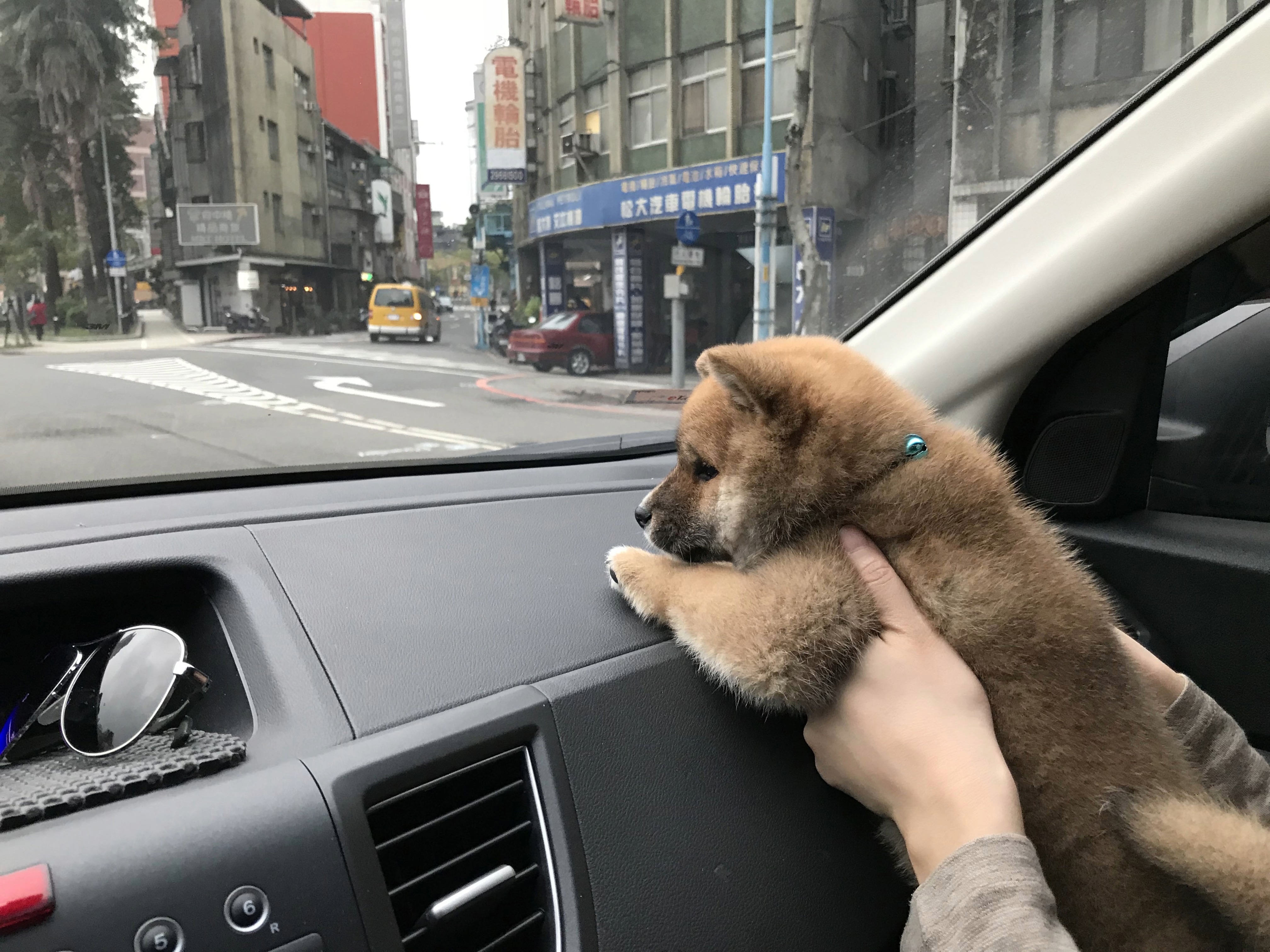 泡彈幼年